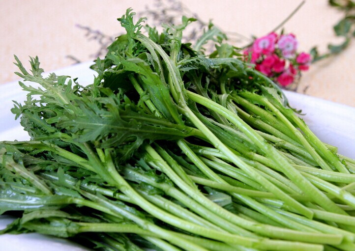 茼蒿(皇帝菜)