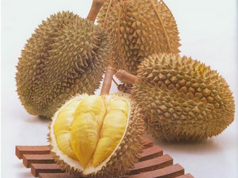 榴莲