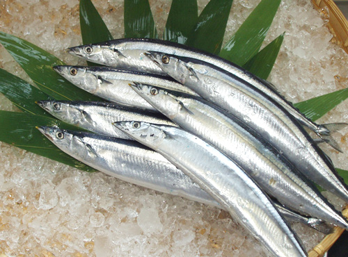 秋刀魚(yú)(凍品)