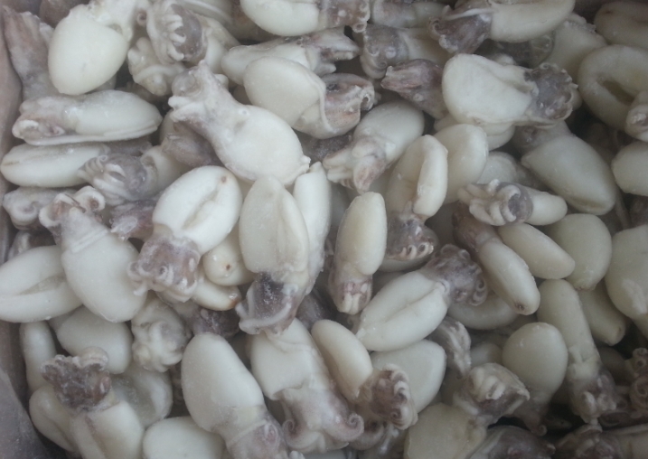 墨魚仔（凍品）