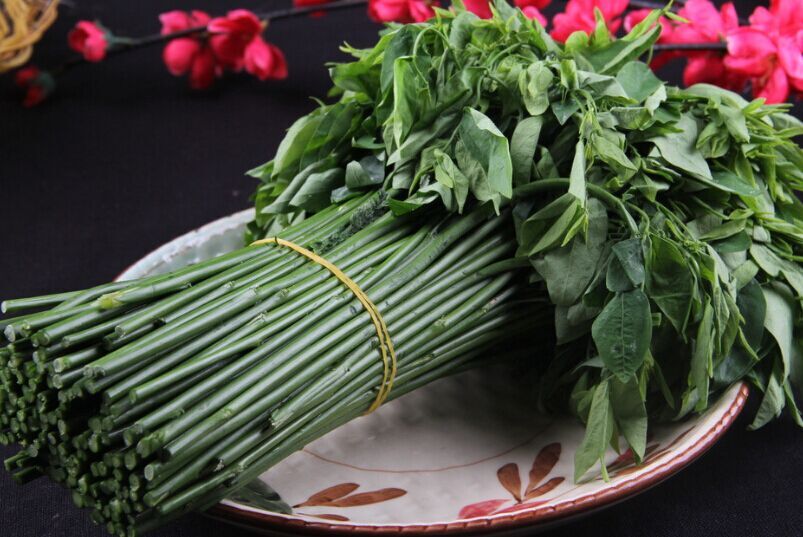 五指山野菜