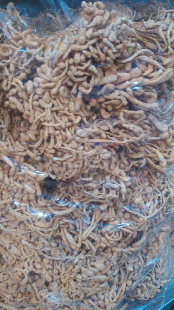 虫草花(干货)