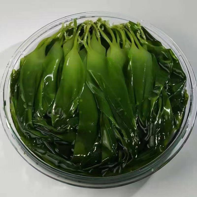 鹽漬海帶苗