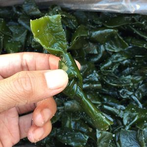 鹽漬海帶結(jié)