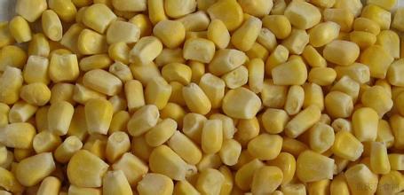 甜玉米粒