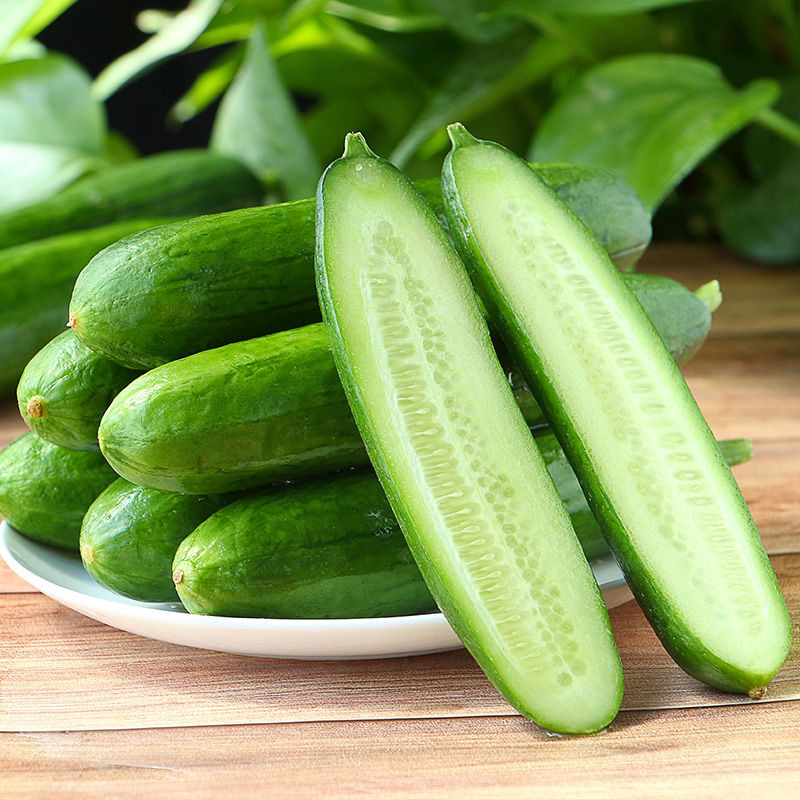 水果黃瓜