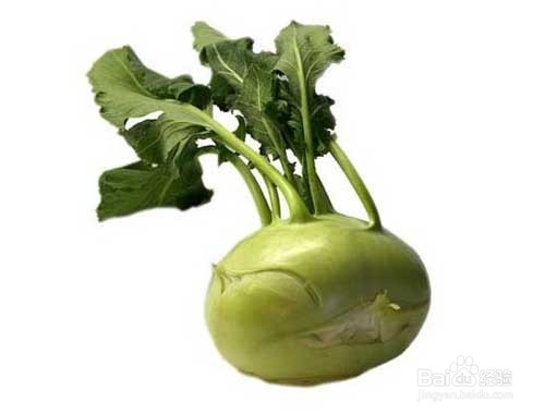 球茎甘蓝