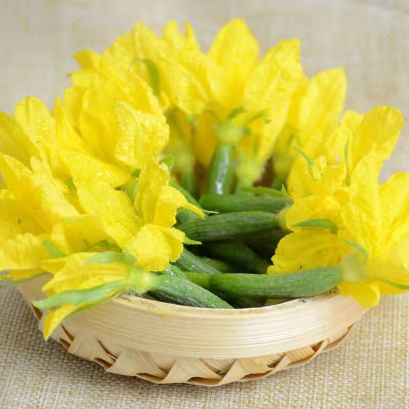 黃瓜花
