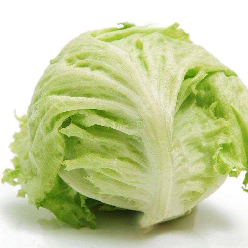 西生菜