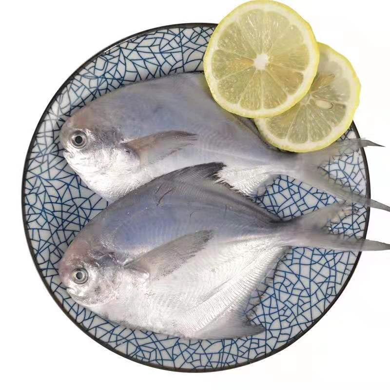 白鯧魚