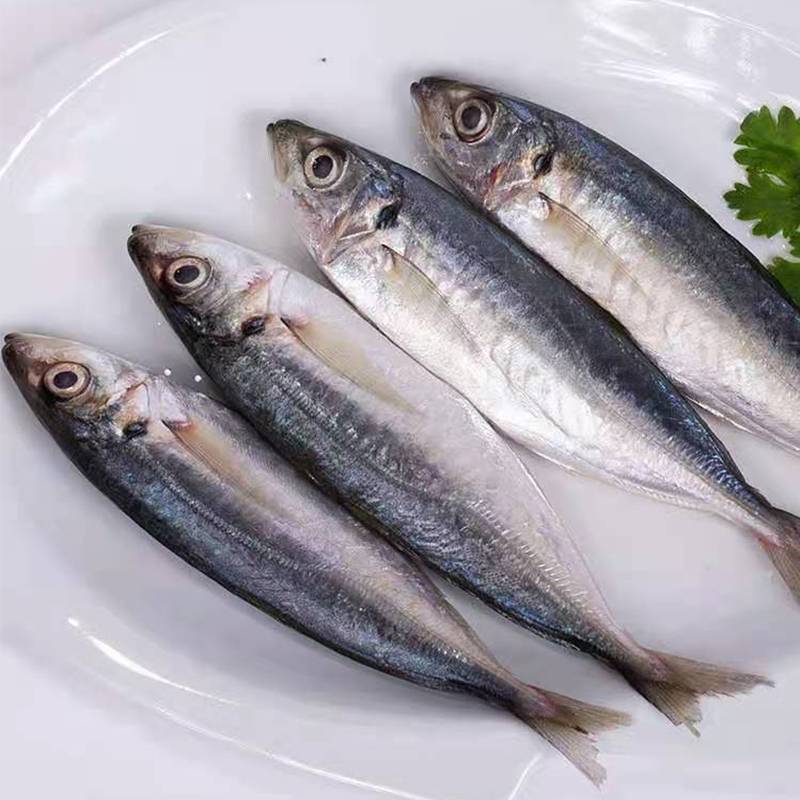 凈膛燈光魚(yú)