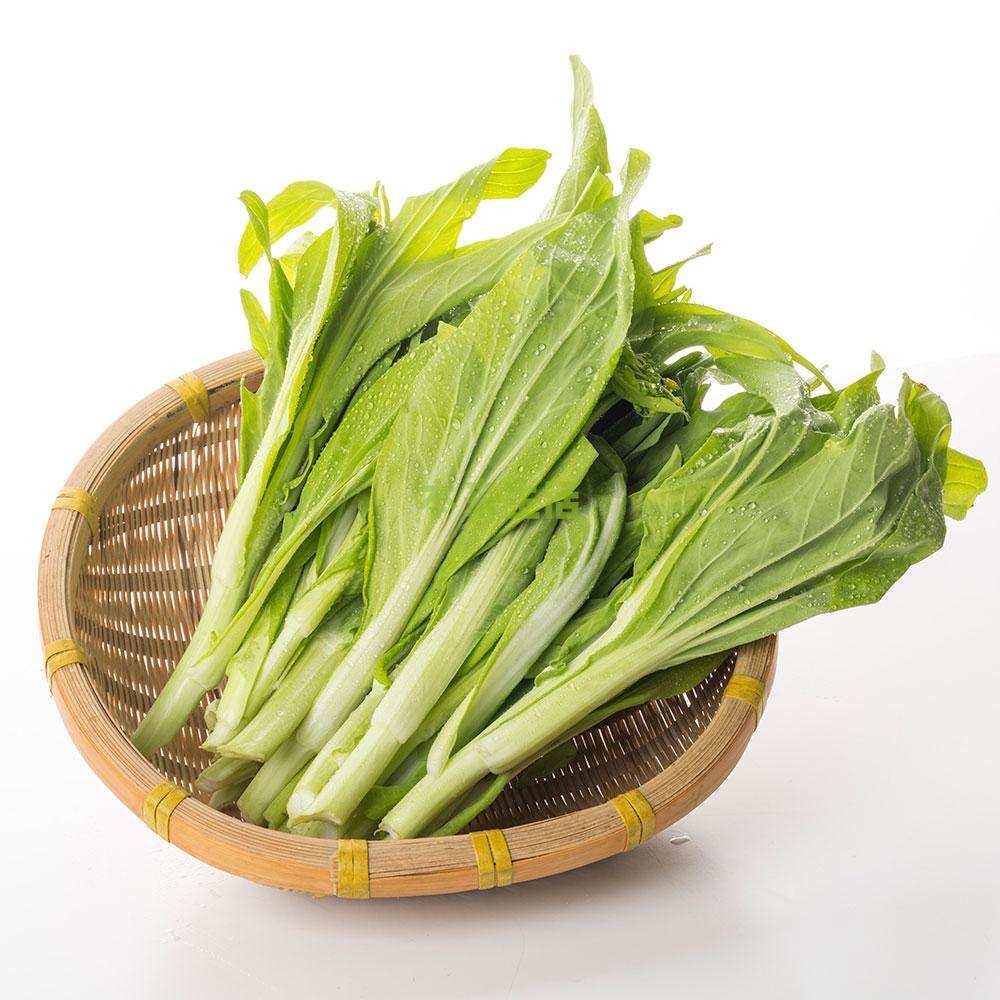 白菜苔
