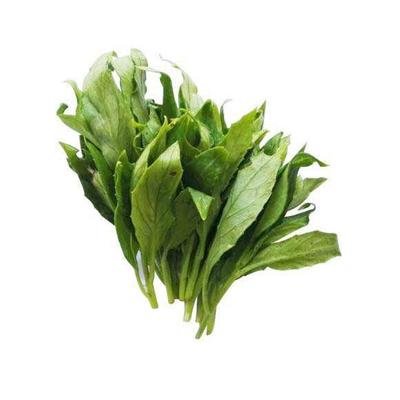 鹿舌菜