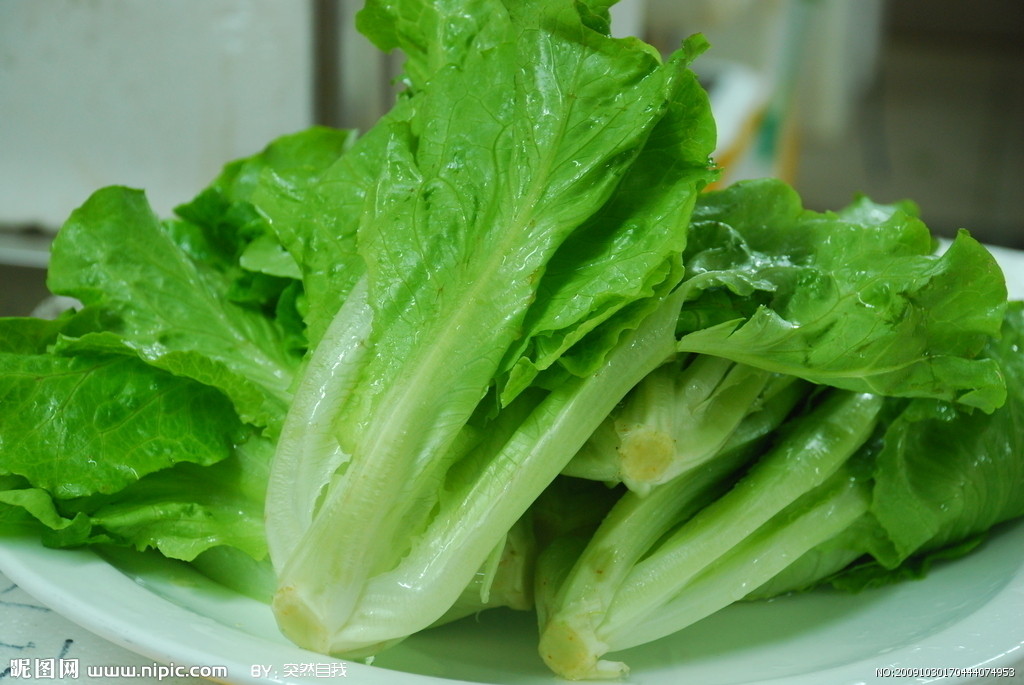 生菜