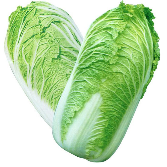 大白菜